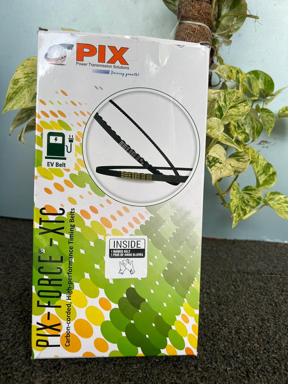 PIX BELT ATHER 11M 16